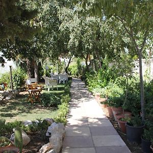B&B Solacium